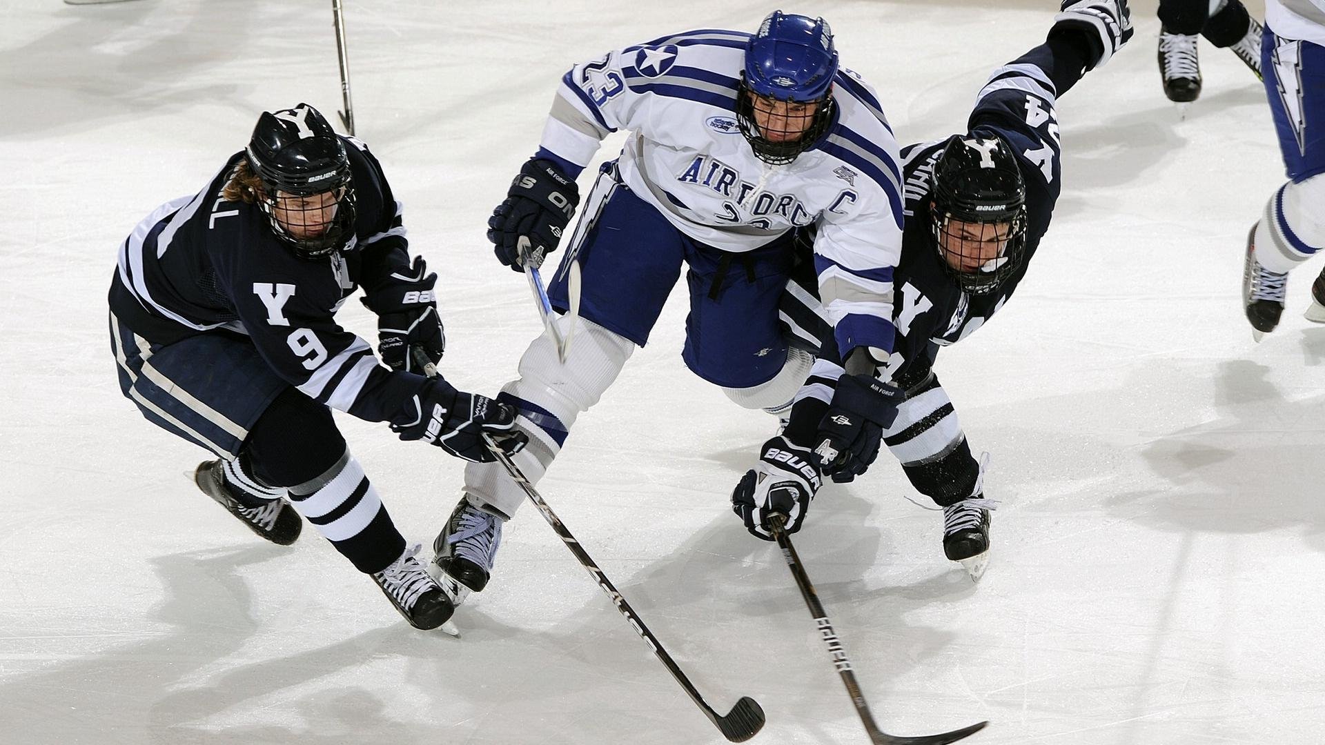 是否应增加更多混合训练营项目，是否应增加更多混合训练营项目的成本